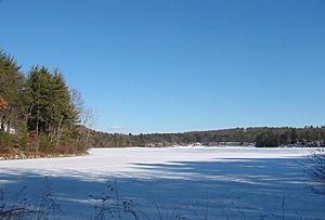 Walden-winter