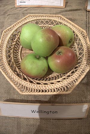 Wellington Äpple.jpg