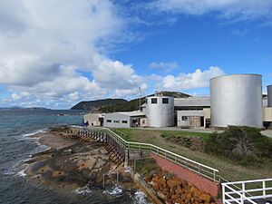 Whale oil tanks at Albany's Historic Whaling Station, April 2022 01