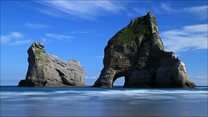 Wharariki Beach (212987255)