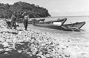 Wrecked Japanese barges at Scarlet Beach 1