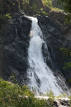 Wujul-Wujul Falls C 1805
