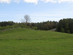 (The site of) Turret 21b (Fence Burn) - geograph.org.uk - 1376060