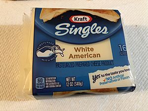 2019-02-06 21 06 13 A packet of Kraft Singles White American cheese still in its packaging in Dunn Loring, Fairfax County, Virginia