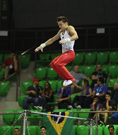 2019-06-27 1st FIG Artistic Gymnastics JWCH Men's All-around competition Subdivision 4 Horizontal bar (Martin Rulsch) 229
