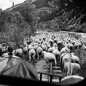 A ride on the Galloping Goose 1 1951