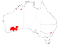 Acacia camptocladaDistMap158