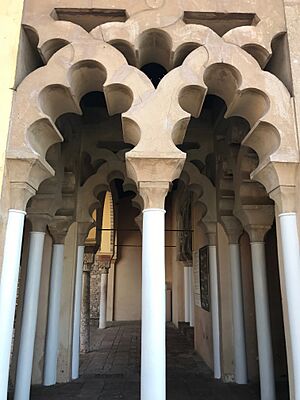 Alcazaba of Málaga, July 2017-17