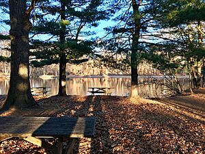 Allen Brook Pond in Wharton Brook SP at dusk