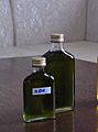 An experimental batch of hemp oil produced in Buryatia in bottles