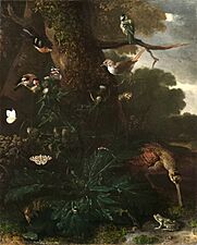 Animals and Plants of the Forest (1670-80), oil on canvas, 81.2 x 64.7 cm., Yale University Art Gallery