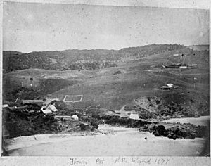 Flowerpot Bay in 1877