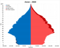 Asian Americans population pyramid in 2020