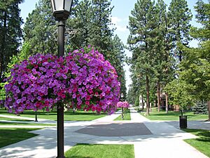 At Witworth University in Spokane (4937402906)