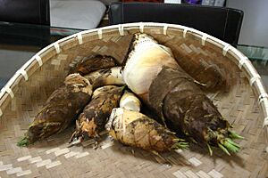 Bamboo sprouts in basket