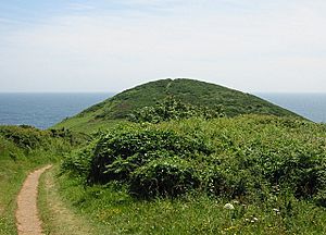 Black Head - geograph.org.uk - 103781.jpg