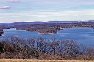 Blue marsh view