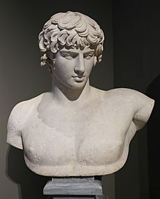 Bust of Antinous (2). 2nd cent. A.D (cropped)