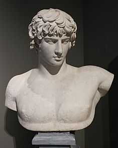 Bust of Antinous (2). 2nd cent. A.D (cropped).jpg