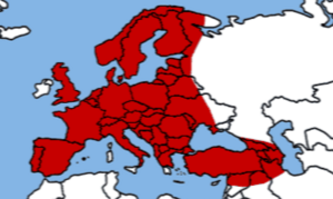 Capreolus-capreolus-map