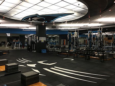 Carolina Panthers weight and training room inside of Bank of America Stadium