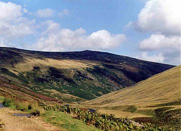 Carrock Fell from the Caldew Valley.jpg
