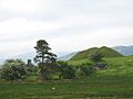 Castell Tomen y Mur - geograph.org.uk - 442493