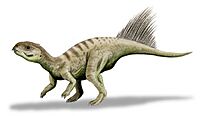 Chaoyangsaurus BW.jpg
