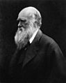 Charles Darwin by Julia Margaret Cameron 2