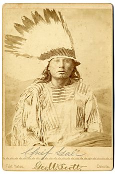 Chief Gall ca1880s