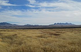 Cienega Valley Las Cienegas National Conservation Area Arizona 2014