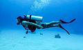 Discover Scuba Diving -- St. Croix, US Virgin Islands