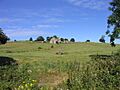 Dolmen and ruins of a farm, near Rathfran - geograph.org.uk - 297673