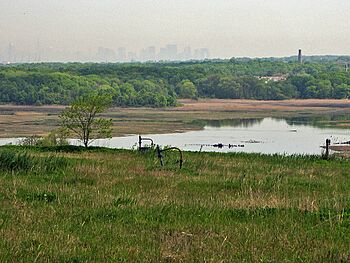 Downtown Manhattan view over Freshkills Park.jpg