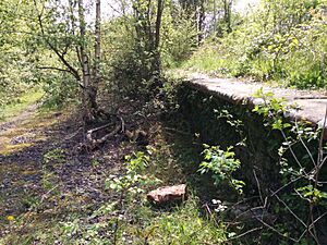 Efail Isaf Railway Station Platform West May 14