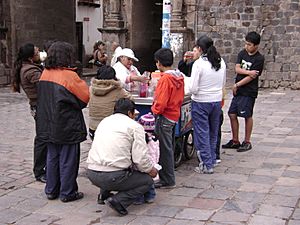 Emolientera Cusco 02012009