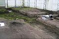 Engineer Cantonment excavations 2