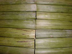 Espasol rolls in banana leaves.JPG