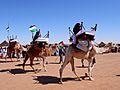 Exhibicion de camellos en la wilaya de Dajla (campamentos de refugiados saharauis de Tinduf, abril de 2007)
