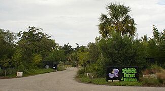 Florida Keys Scenic Highway - The Key West Tropical Forest and Botanical Garden on Stock Island, FL, near the Florida Keys Scenic Highway - NARA - 7718459
