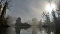 Foggy Island Morning