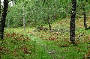 Glenmoriston2010a