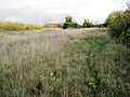 Great Casterton Road Banks 5