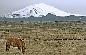 Hekla and horse