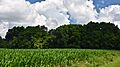 Hoosier Hill, Indiana