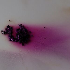 Iodine-evaporating