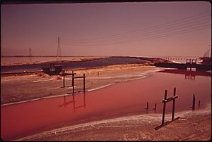 LESLIE SALT PONDS AT SUNSET. "WATER STINKS," WRITES THE PHOTOGRAPHER ABOUT THIS SCENE - NARA - 544686