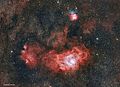 Lagoon and Trifid from Los Angeles 