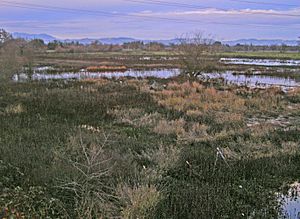 Lagunadesantarosa