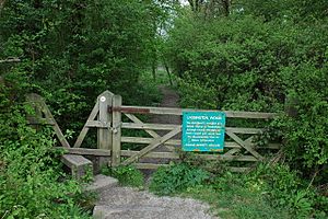Lassington Wood - geograph.org.uk - 435528